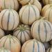 Melons
